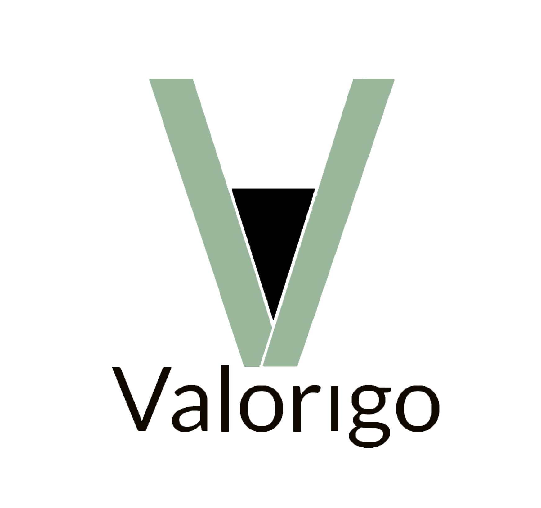 Valorigo Logo